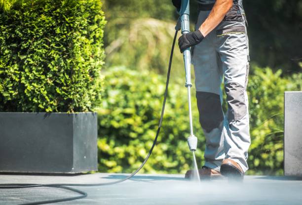 Best Patio and Deck Pressure Washing  in Park View, IA